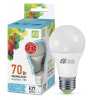 Лампа светодиодная LED-A60-standard 7Вт грушевидная 4000К белый E27 630лм 160-260В ASD 4690612001678 от компании "Nevatel"