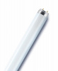 Лампа люминесцентная L 18W/865 LUMILUX 18Вт T8 6500К G13 смол. OSRAM 4008321581273 от компании "Nevatel"